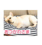おもちのスタンプ 1（個別スタンプ：8）