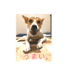 まつりちゃん。（個別スタンプ：5）
