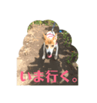 まつりちゃん。（個別スタンプ：7）