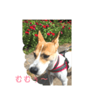 まつりちゃん。（個別スタンプ：8）