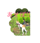 まつりちゃん。（個別スタンプ：10）