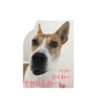 まつりちゃん。（個別スタンプ：11）