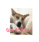 まつりちゃん。（個別スタンプ：23）