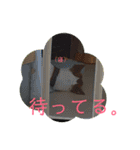 まつりちゃん。（個別スタンプ：24）