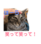 じょーくんらぶ2（個別スタンプ：11）