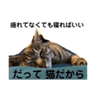 じょーくんらぶ2（個別スタンプ：12）