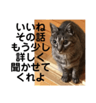 じょーくんらぶ2（個別スタンプ：18）