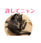 じょーくんらぶ2（個別スタンプ：20）