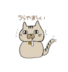 おしゃべり女の子と猫さん（個別スタンプ：30）