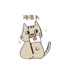 おしゃべり女の子と猫さん（個別スタンプ：37）