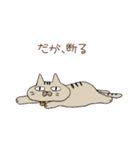 おしゃべり女の子と猫さん（個別スタンプ：38）