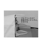 ネコねこ猫（個別スタンプ：1）