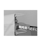 ネコねこ猫（個別スタンプ：3）