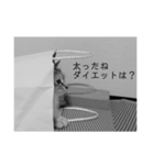 ネコねこ猫（個別スタンプ：4）