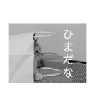 ネコねこ猫（個別スタンプ：5）