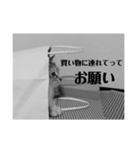 ネコねこ猫（個別スタンプ：7）