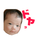 ちはやん（個別スタンプ：5）