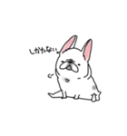 うちのマンションのわんこたち（個別スタンプ：8）