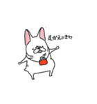 うちのマンションのわんこたち（個別スタンプ：17）