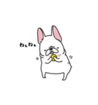 うちのマンションのわんこたち（個別スタンプ：24）