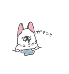 うちのマンションのわんこたち（個別スタンプ：35）