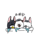 うちのマンションのわんこたち（個別スタンプ：39）