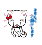 柴犬 くう（個別スタンプ：5）
