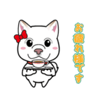 柴犬 くう（個別スタンプ：6）