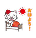 柴犬 くう（個別スタンプ：8）