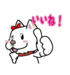 柴犬 くう（個別スタンプ：10）