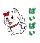 柴犬 くう（個別スタンプ：11）