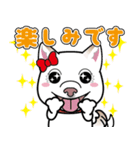 柴犬 くう（個別スタンプ：14）