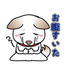 柴犬 くう（個別スタンプ：17）