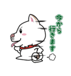 柴犬 くう（個別スタンプ：18）
