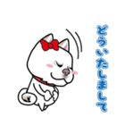 柴犬 くう（個別スタンプ：19）