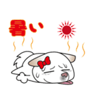 柴犬 くう（個別スタンプ：22）