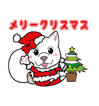 柴犬 くう（個別スタンプ：31）