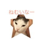 うし猫ちゃん。（個別スタンプ：6）