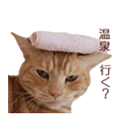 ねこのぽんたくん日常会話 温泉編（個別スタンプ：2）