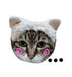 ぷりきゅー（個別スタンプ：1）