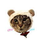 ぷりきゅー（個別スタンプ：3）