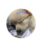 そらちゃん しりーず（個別スタンプ：8）