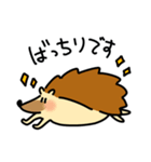 はりねずみのちくた（個別スタンプ：11）