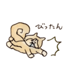 しばロールの1日（個別スタンプ：24）