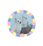使いどころがない犬スタンプ（個別スタンプ：3）