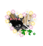 うさぎのまぐろ。（個別スタンプ：7）