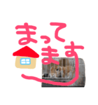 うさぎのわさび。（個別スタンプ：3）