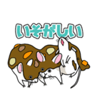 カレーを生き物にかける（個別スタンプ：19）