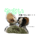 もふぽん（個別スタンプ：3）