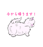 コマンチさん（個別スタンプ：8）
